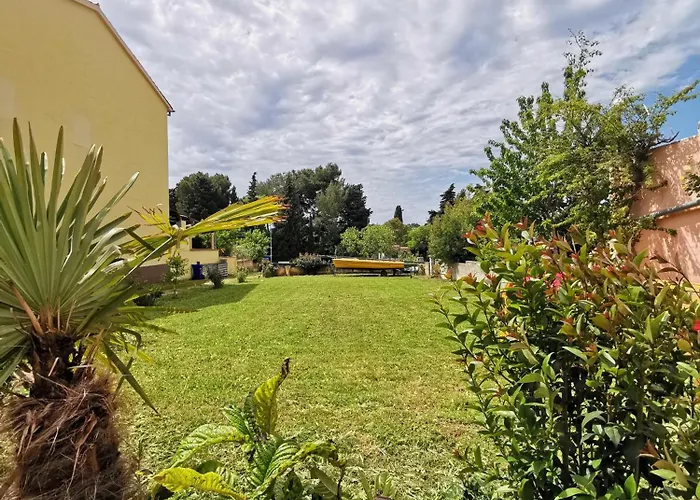Apartmani Koin