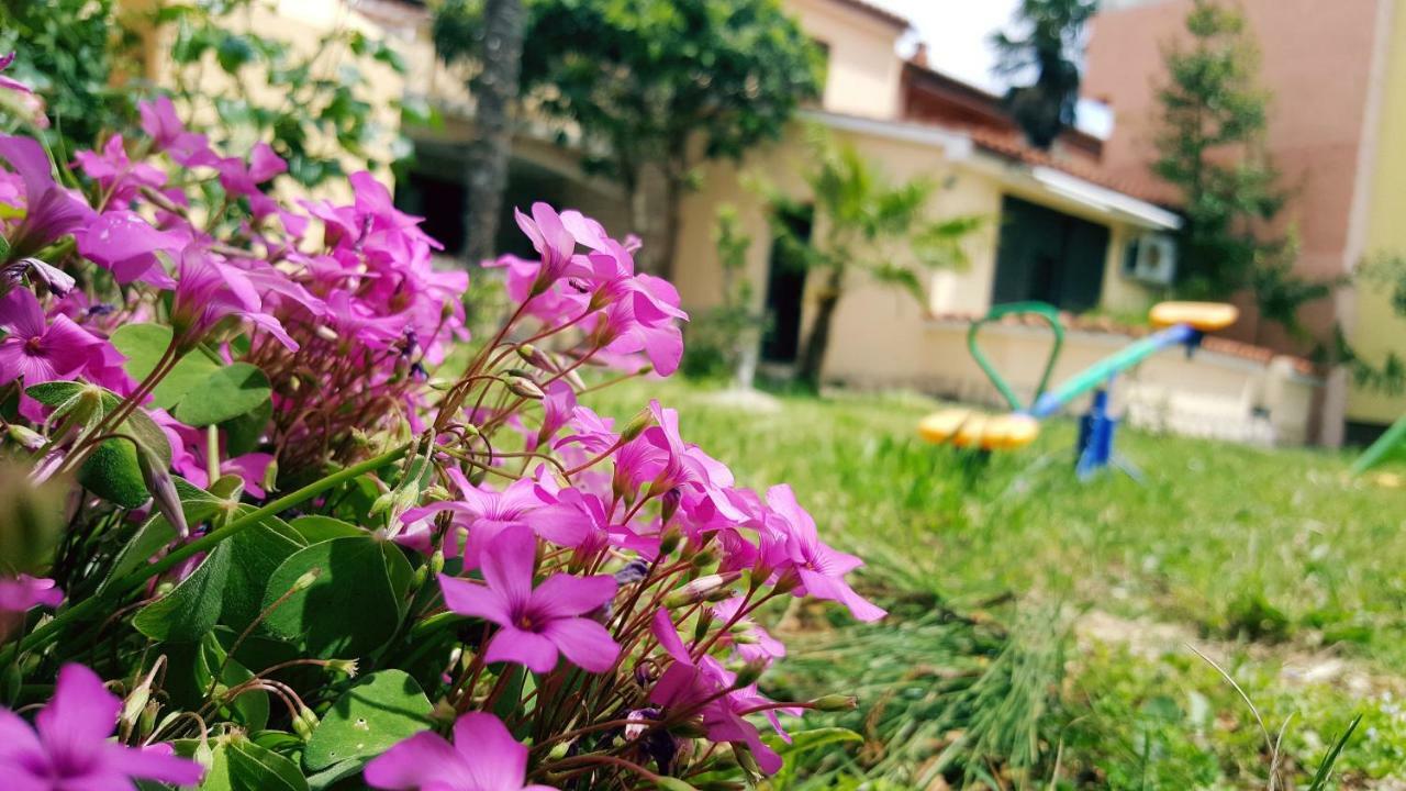 Apartmani Koin *