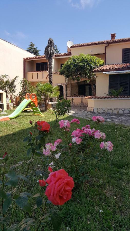 Apartmani Koin